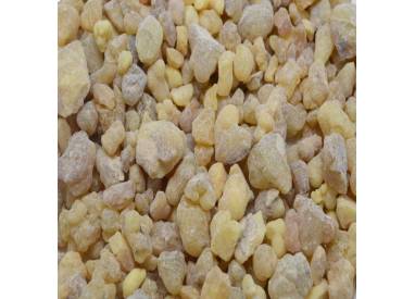 Yemeni luban frankincense - Boswellia carteri